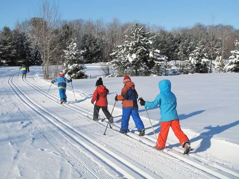 Chalet Alpine Sainte-Adèle المظهر الخارجي الصورة